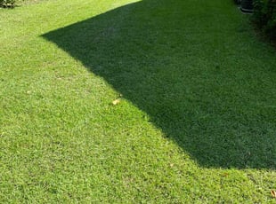 Tracy L.'s Lawn Service service result