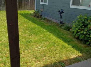 Bush Trimming by Dennis Wy for Ashley W. in Battle Ground, WA