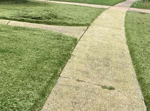 Bush Trimming by Holver Josue Torres Quintero for Cavin D. in New Orleans, LA