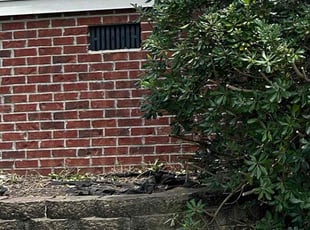 Weeding by Marvin McCoy for Dre B. in Columbia, SC
