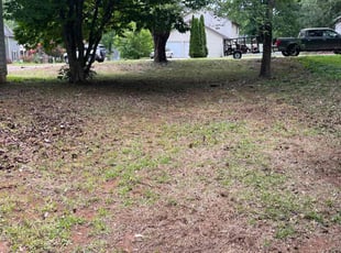 Cleanups by Jonathan Clark for Jacqueline D. in Norcross, GA