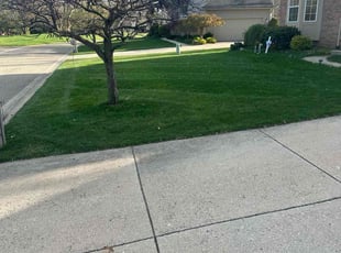 Jean C.'s Lawn Mowing service result