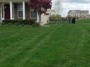 Sharron S.'s Lawn Service service result