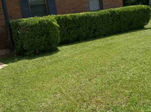 Bush Trimming by Charles Gulley for Paulina M. in Pace, FL
