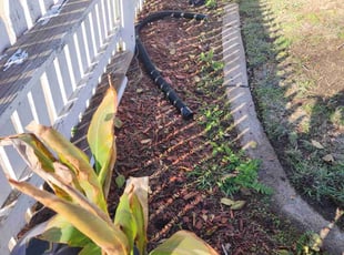 Weeding by Juan Rodriguez for Nicole B. in Citrus Heights, CA