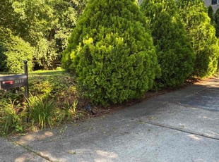 Bush Trimming by Emmitt Jones for Keith M. in Wake Forest, NC