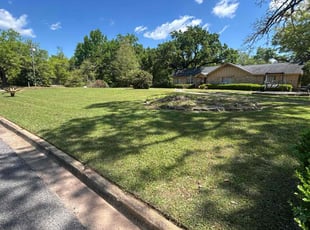 Ryan L.'s Yard Cutting service result