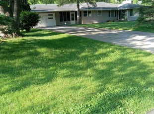 minh p.'s Lawn Mowing service result