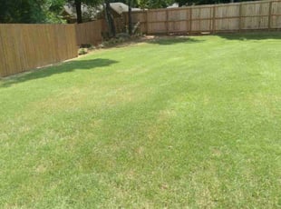 Carl G.'s Lawn Maintenance service result