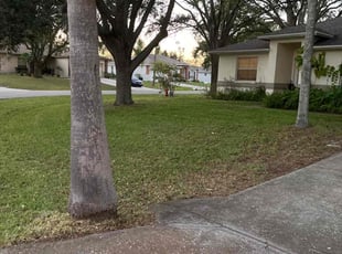 Cleanups by Joseph Williams for Michael O. in Lakeland, FL