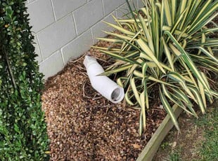 Weeding by Rohan James for Amanda B. in Colonial Heights, VA