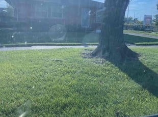 Jason C.'s Lawn Maintenance service result