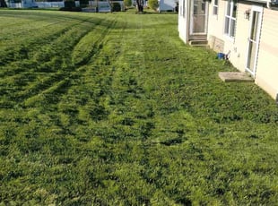 Caroline K.'s Lawn Care service result
