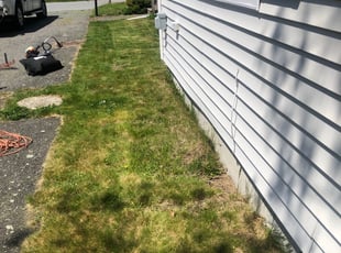 Leaf Removal by Raymond Caraballo for Patty L. in Swansea, MA