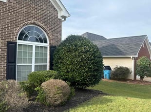 Bush Trimming by Howard Collier for Risharde L. in McDonough, GA