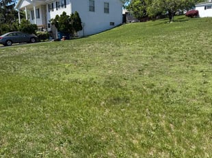 Giduk B.'s Lawn Service service result