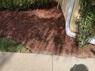 Daniela T.'s Flower Bed Weeding service result