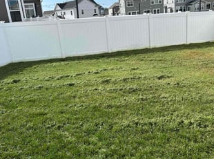John E.'s Lawn Mowing service result