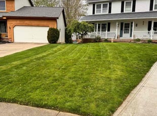 Peter S.'s Lawn Care service result