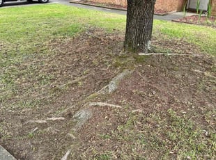 Leaf Removal by Jensen Nazario for Jennifer R. in Raeford, NC
