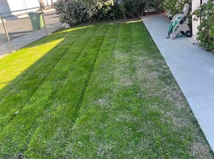 Vernee R.'s Lawn Mowing Service service result