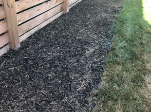 Cleanups by Trey Weiler for Paul F. in Denver, CO