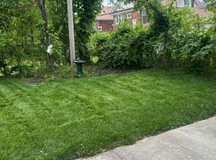 Janet F.'s Lawn Mowing Service service result