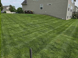 Jonteria S.'s Lawn Service service result