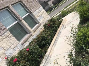 Bush Trimming by Nelson Capaletti for Shailendra S. in Leander, TX