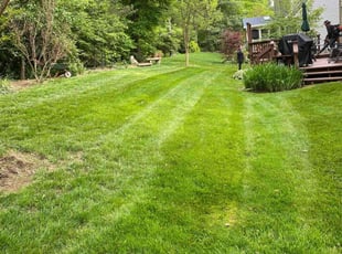 Sheryl R.'s Lawn Care service result