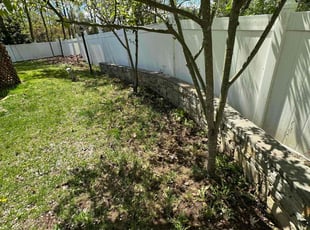 Cleanups by Anthony Costa for Sarahi T. in Cheshire, CT