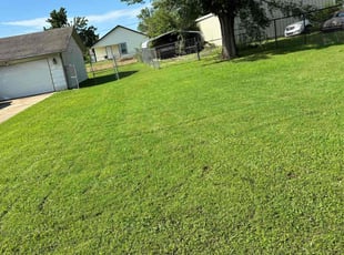 Nav B.'s Lawn Maintenance service result