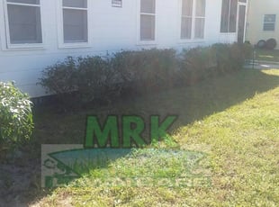 Bush Trimming by Mike Kafer for Rena B. in Clearwater, FL