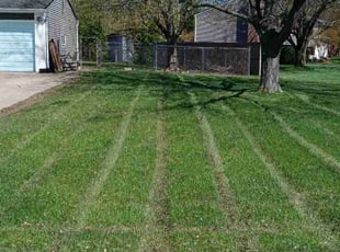 Mary C.'s Lawn Mowing Service service result