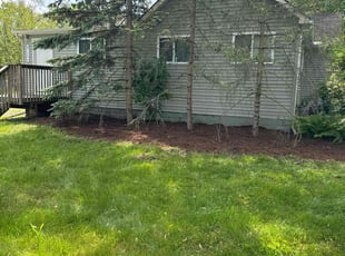 Jeri K.'s Mulching service result