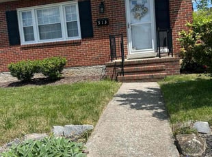 ricardo b.'s Lawn Care service result