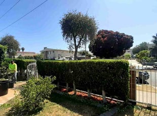 Bush Trimming by Javier Aguilera for Teresa D. in Inglewood, CA