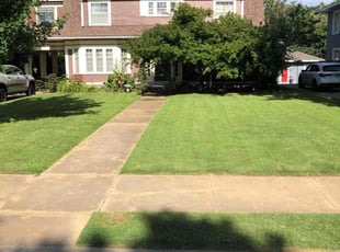 Brenda W.'s Yard Cutting service result