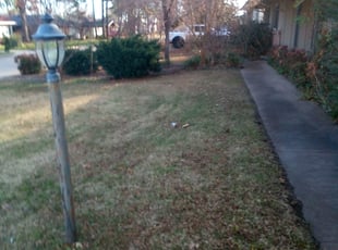 Leaf Removal by Demetrius Curry for Blake L. in Tulsa, OK