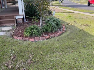 Weeding by Stephen Cannon for Courtney S. in Baton Rouge, LA