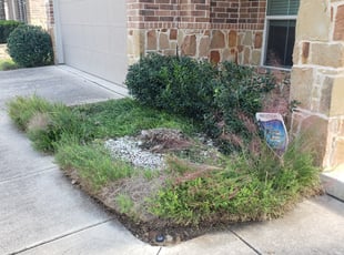 Bush Trimming by Marcus Resendes for Karen J. in San Antonio, TX