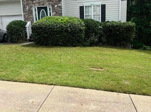 Bush Trimming by Yolanda Torres for Rachel B. in Woodstock, GA