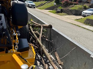 Cleanups by Jeffrey Turner for Christina P. in Pittsburgh, PA