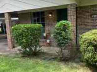 Bush Trimming by Quavion Finley for Haley A. in Pearl, MS