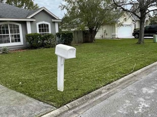 Paulette B.'s Lawn Mowing service result