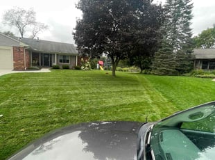 David S.'s Lawn Mowing Service service result