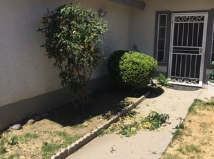 Bush Trimming by Fatima Sevillano for Jacqueline M. in Perris, CA