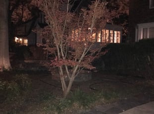 Cleanups by Kamonta Hackey for Alexis L. in Washington, DC