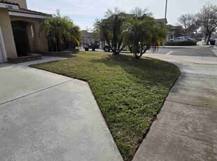Joanna J.'s Yard Cutting service result