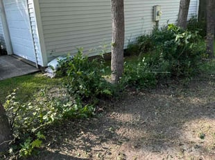 Bush Trimming by Antwain Turner for Sharon H. in Goose Creek, SC